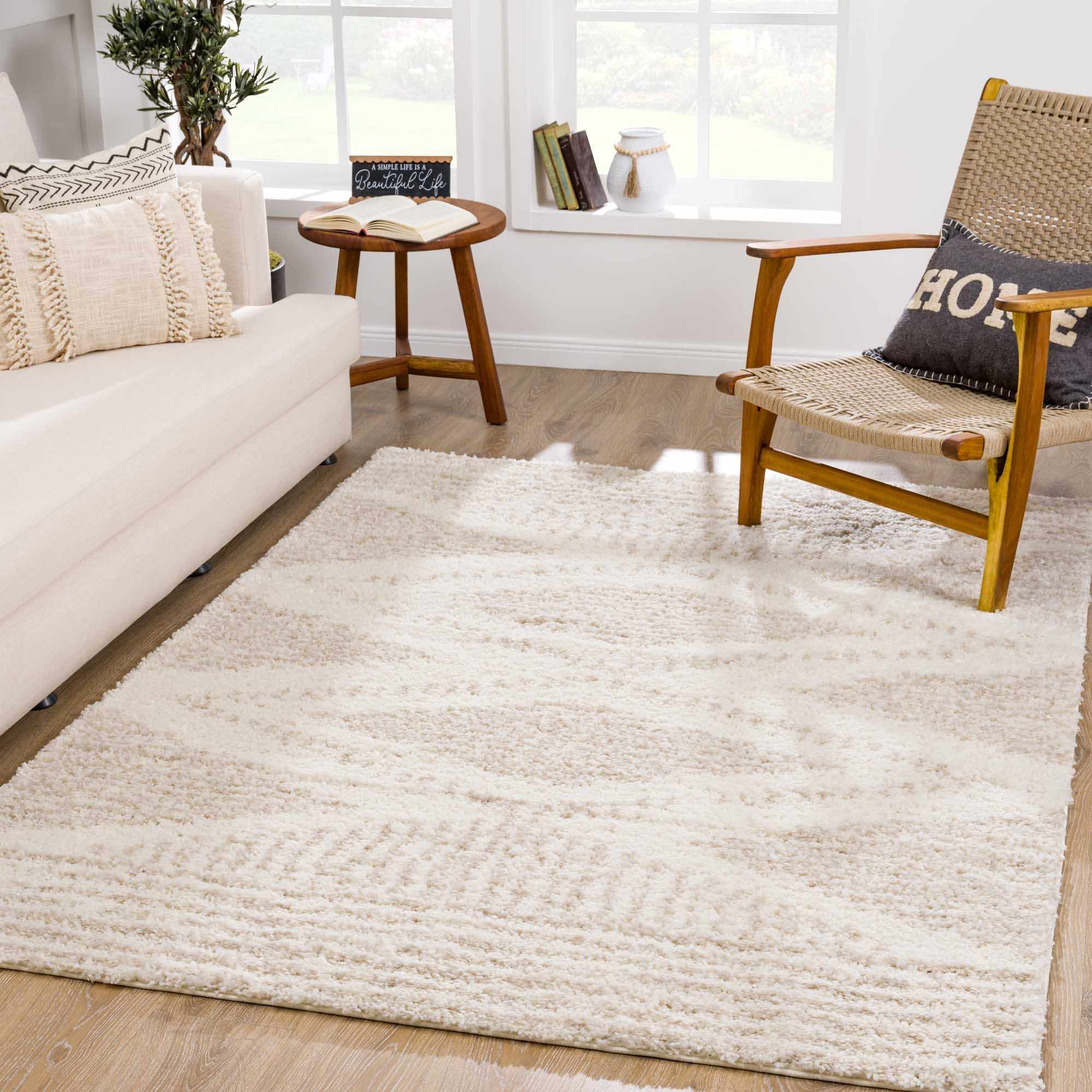 Hauteloom - Wholesale Area Rug - Trunding Plush Area Rug in Light Beige11