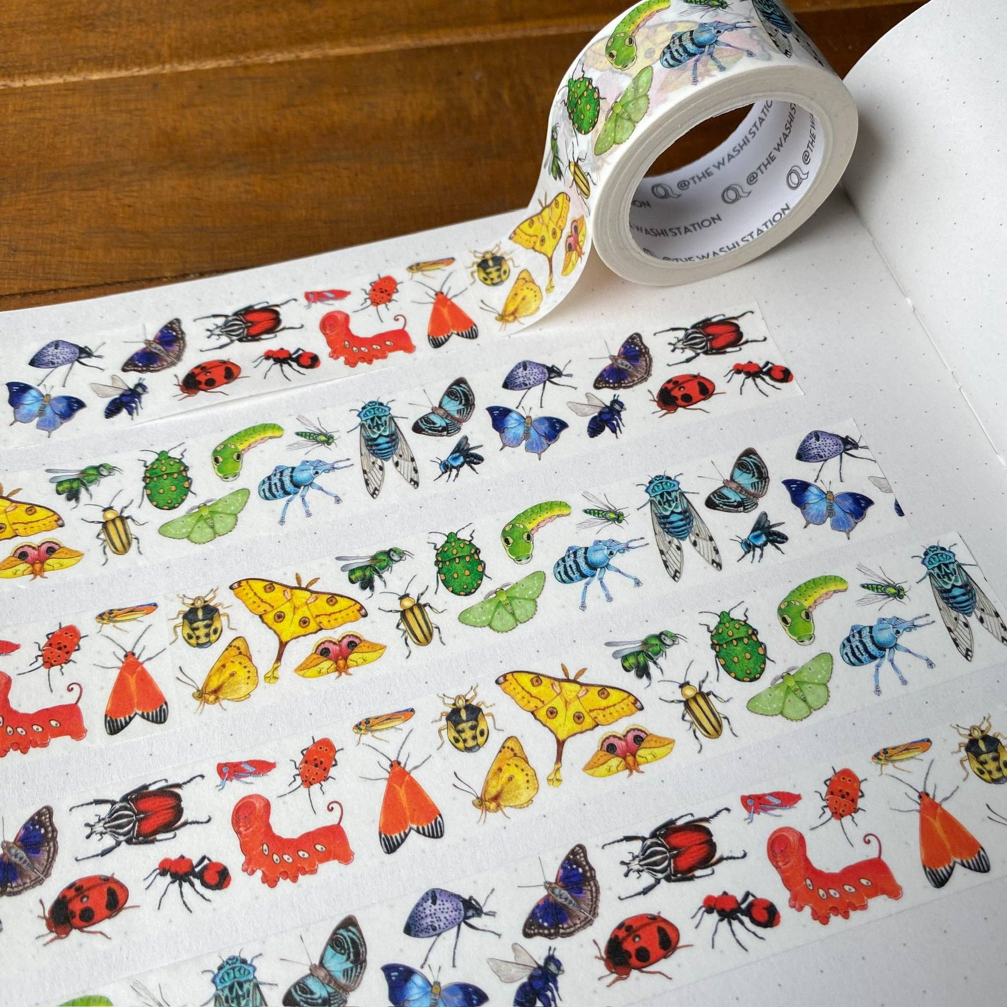 Allison Stoiser Art – Engroshandel Washitape – Rainbow Insects Pride Washi Tape1