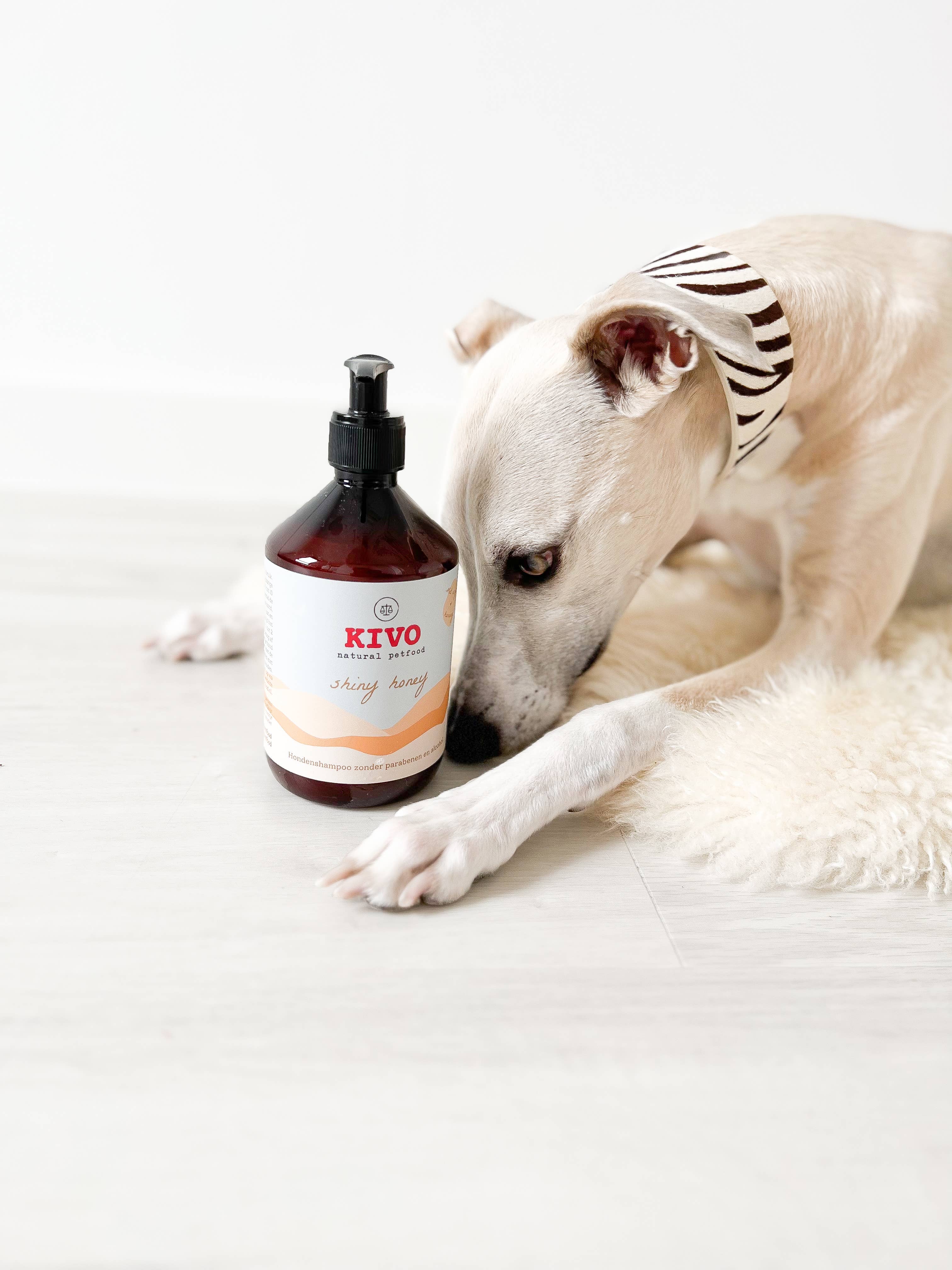Kivo Petfood - Wholesale Pet Shampoo - Dog - Shiny Honey - 500 ml - Paraben-free & pH neutral1