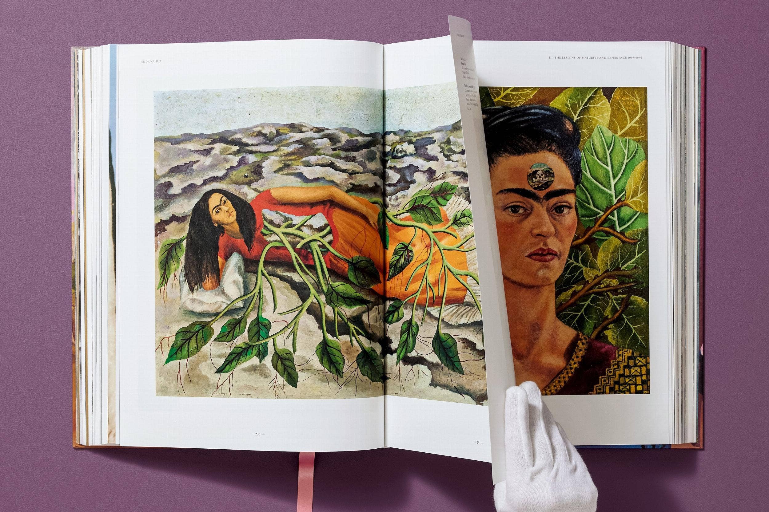 TASCHEN Europe - Wholesale Arts & Entertainment Book - Frida Kahlo. The Complete Paintings (English)15