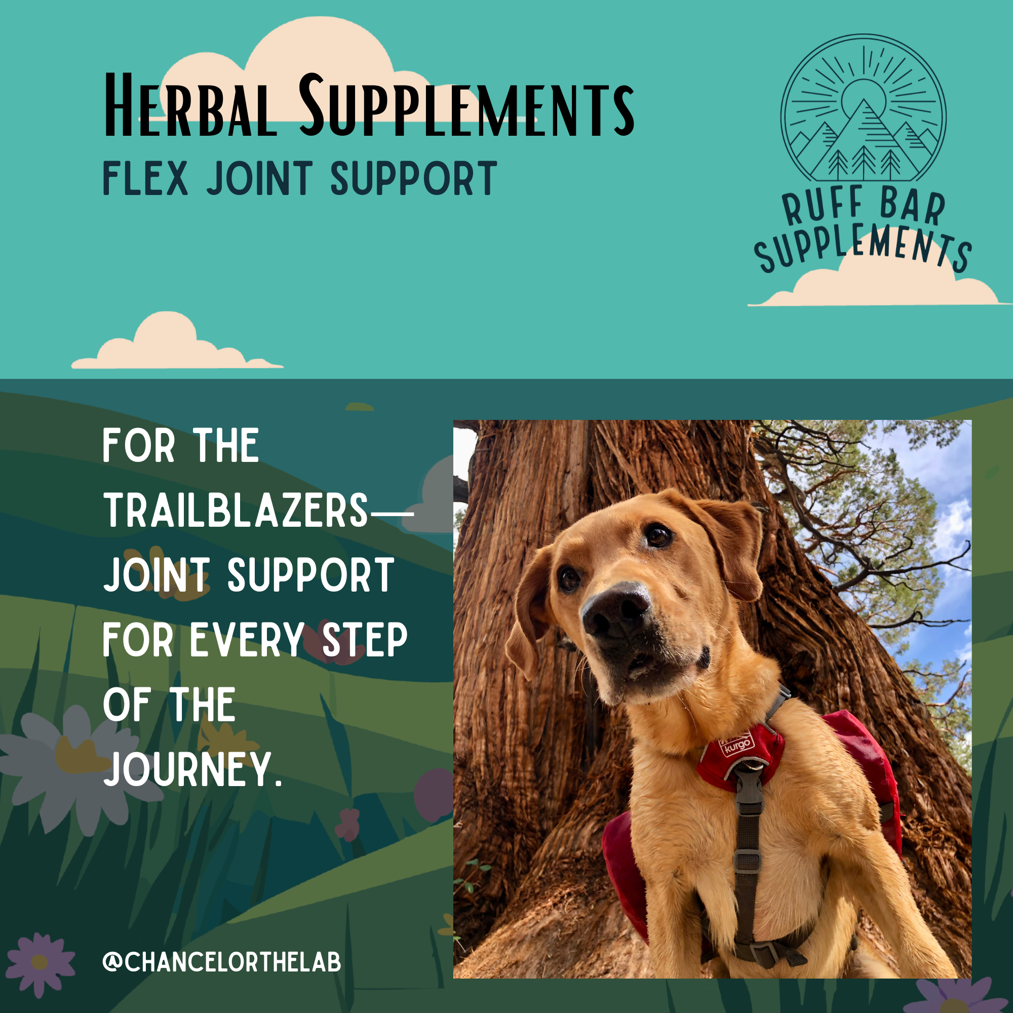 Ruff Bar - Wholesale Pet Supplement - Dog - Flex Joint Support Herb Mix for Dogs3