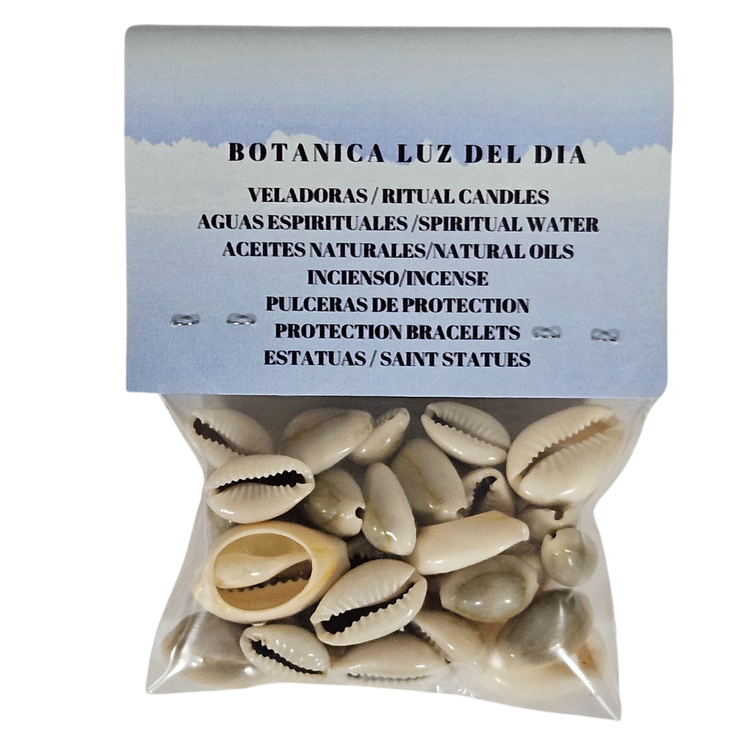 Botanica Luz Del Dia Inc - Vendita all'ingrosso Pietra/cristallo spirituale - Conchiglie di cauri 100% naturali confezione da 28 g3