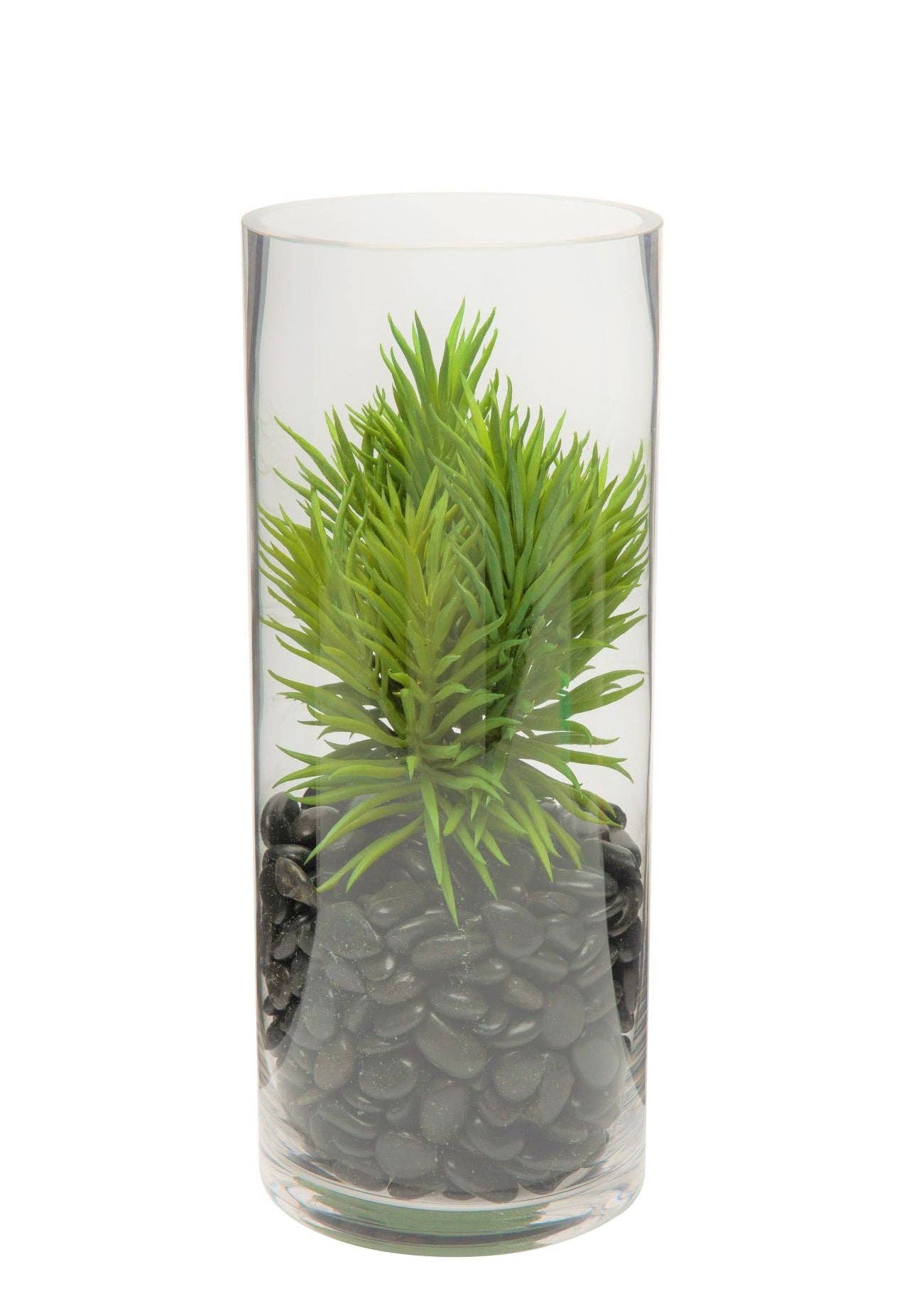 Replica Plants and Decor - Vente Vases - Collection de cylindres en verre transparent Mazzy de 6 po de large GL10013