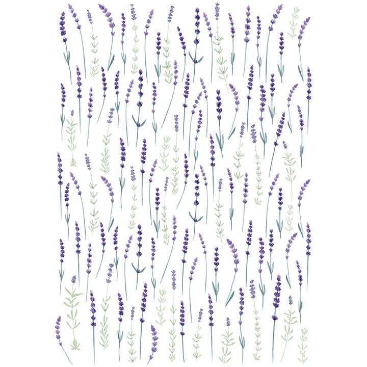 123 Farm - Wholesale Wrapping Paper Roll - Vintage Posters Wrapping Paper - Lavender Sprigs