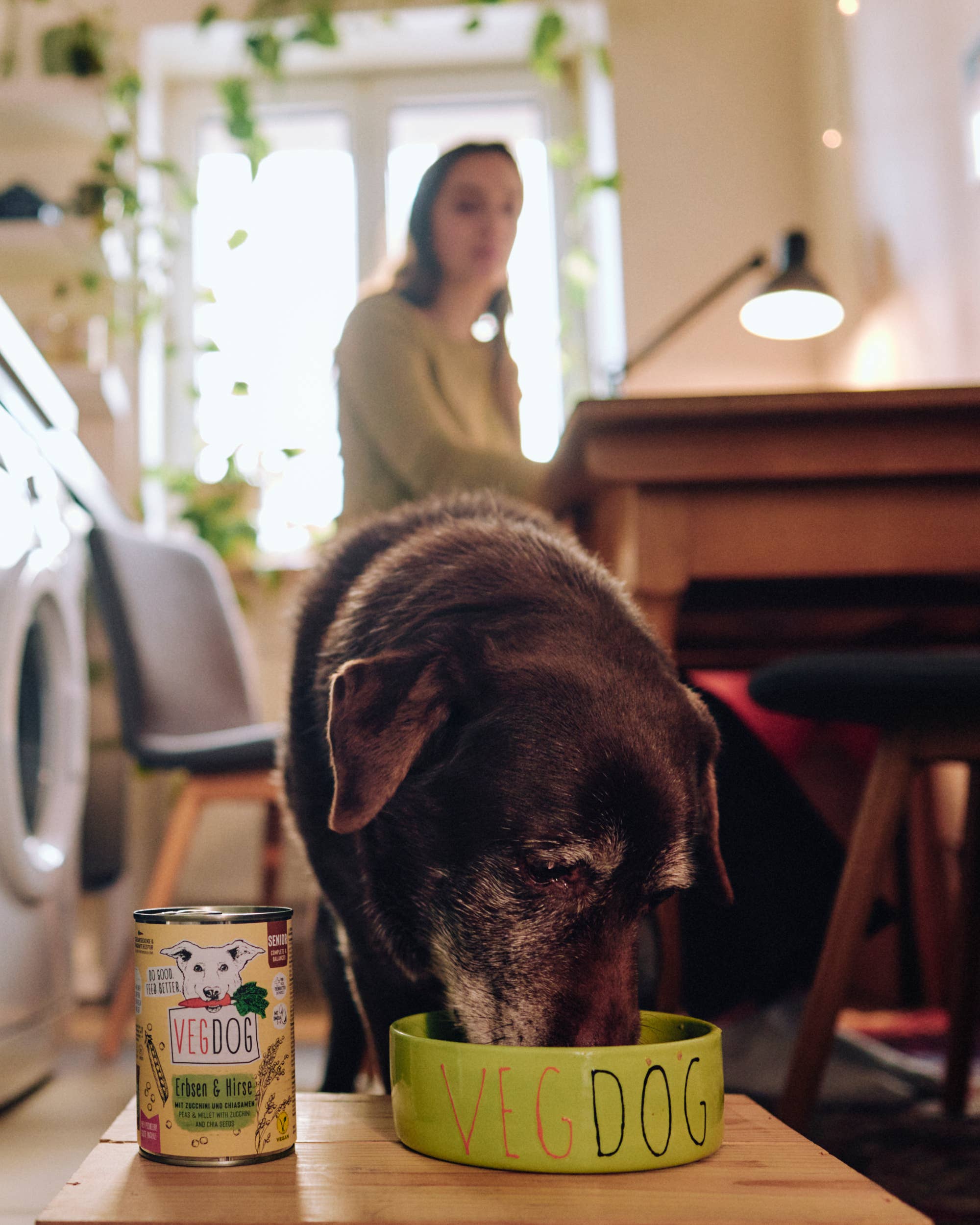 VEGDOG - Wholesale Pet Food - Dog - SENIOR Peas & Millet5