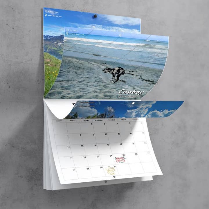 ShutUpAndTakeMyMoney - Wholesale Calendar - Dogs Pooping in Beautiful Placesâ„¢ 2025 Calendar - Gag Gift