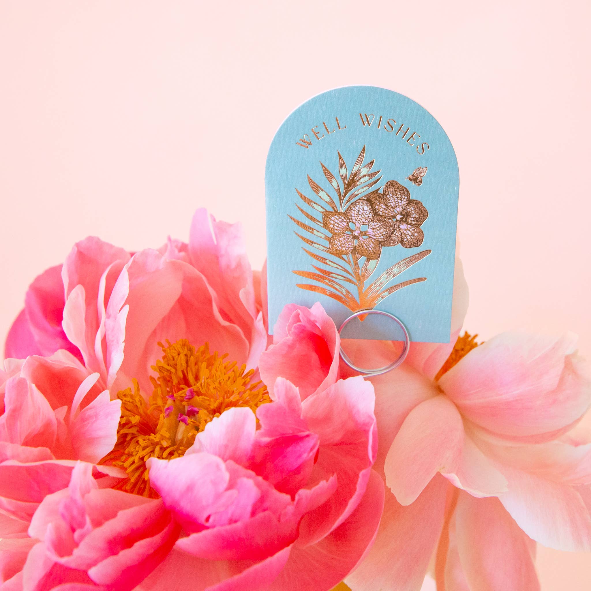 Jungle Club - Wholesale Everyday Greeting Card - Well Wishes Orchid | Mini Card1