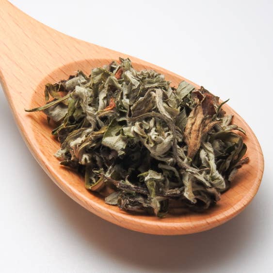 Mugwort for wholesale by Kreutherkraft Manufaktur