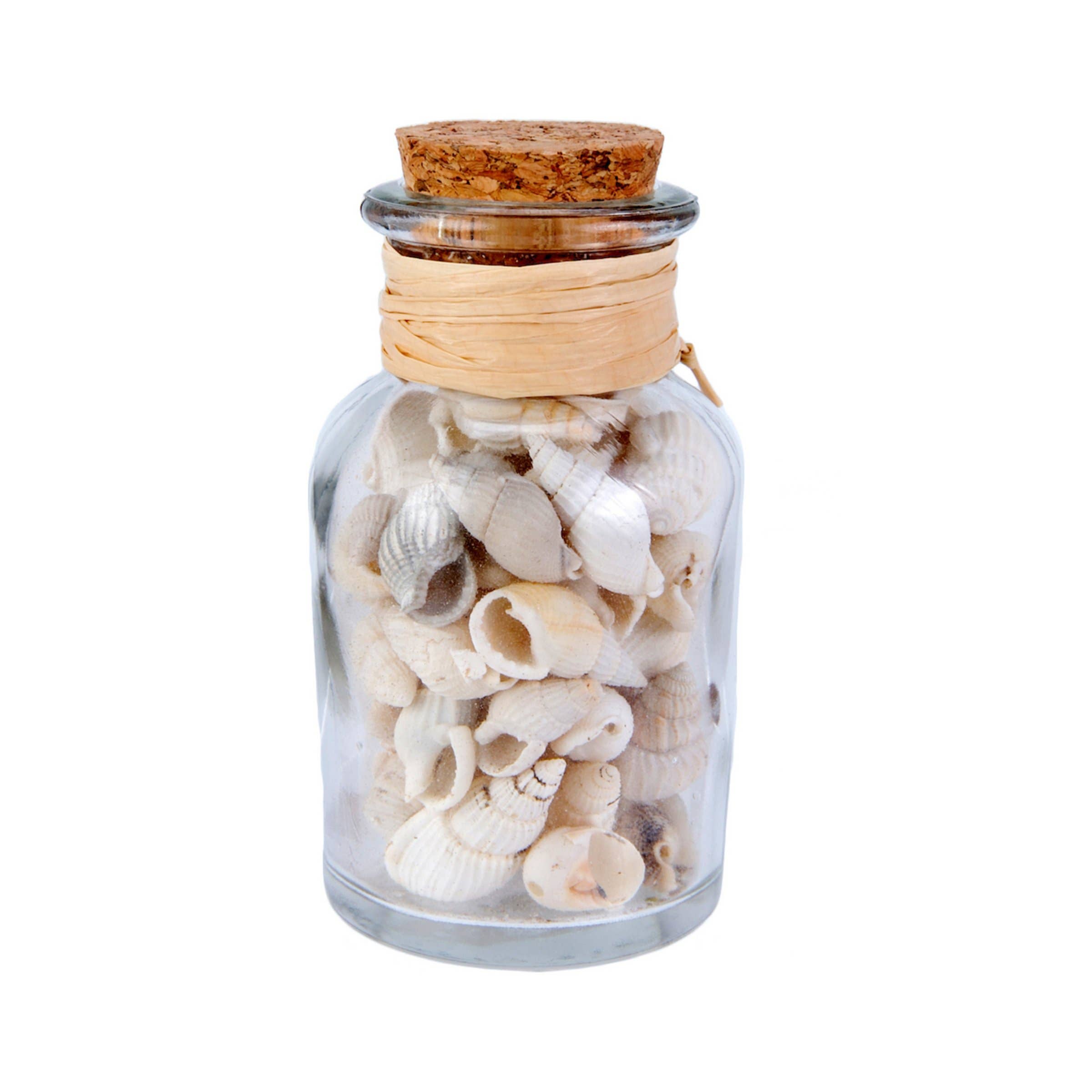 Beachcombers - Vente Décorations de table - Bouteille en verre avec coquillages blancs en solde0