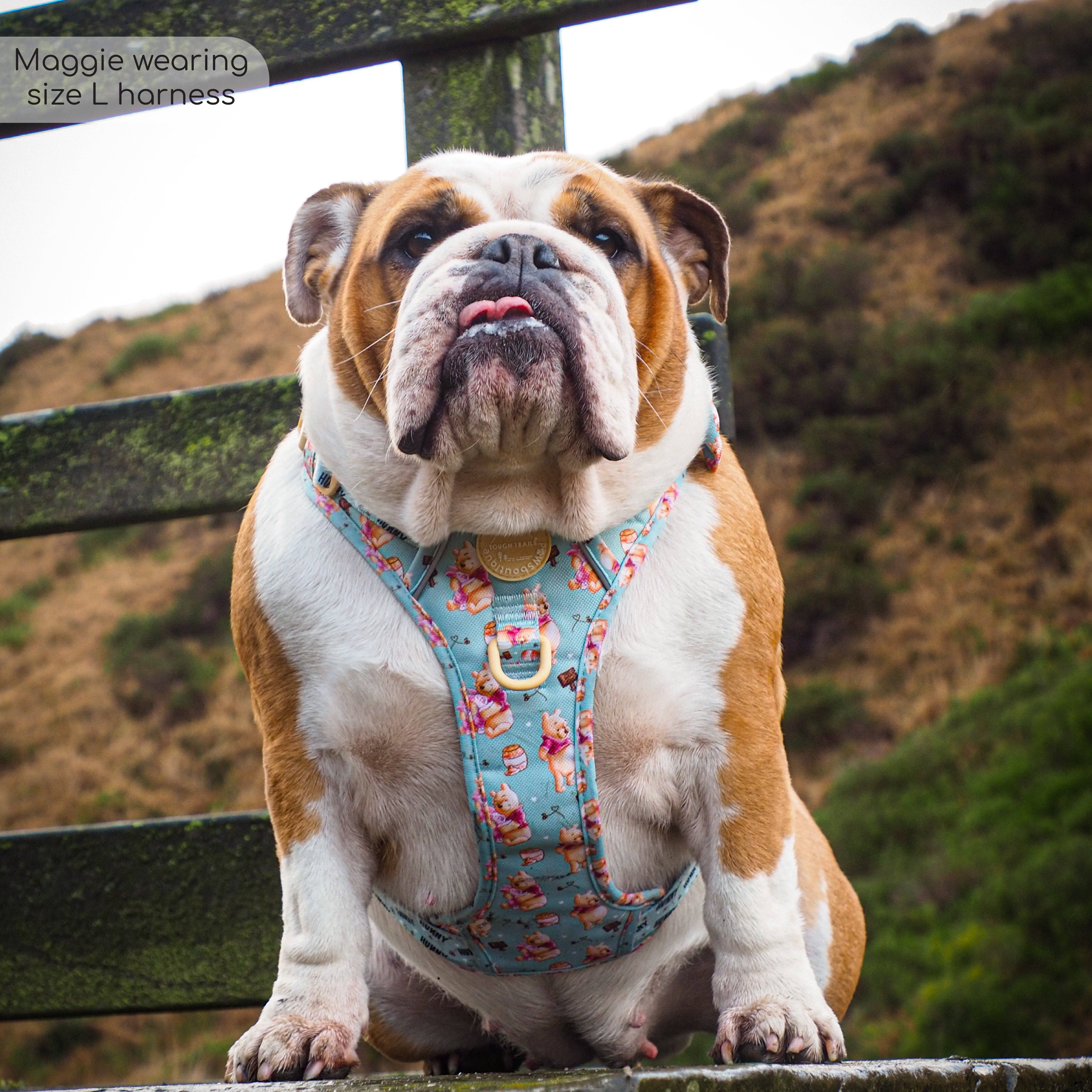 Pawsome Paws – Großhandel Haustiergeschirr – Hund – Disney© Tough Trails™ Geschirr – Winnie Puuh34