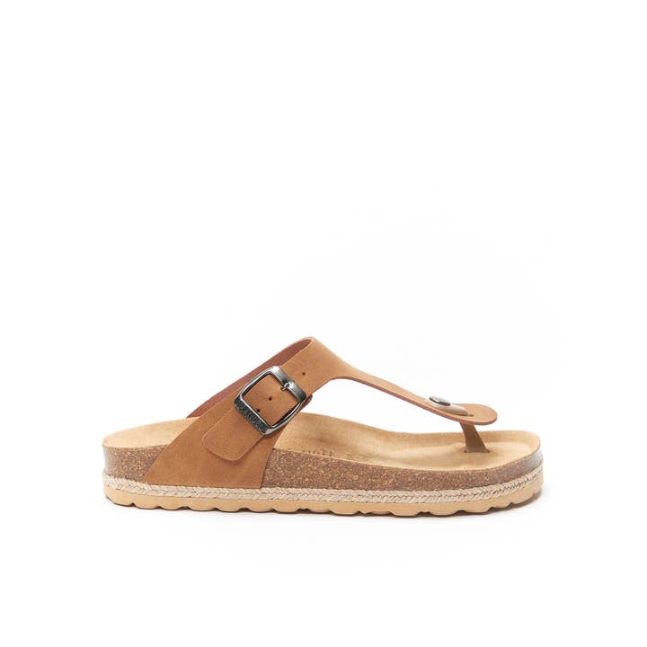 Mandél - Wholesale Flip Flops - Women's - Brown thong sandal - Art.MD2149