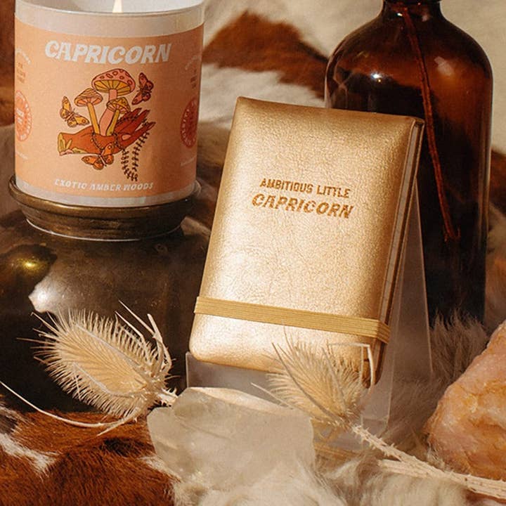 Golden Gems - Wholesale Journal/Diary - Ambitious Little Capricorn - Mini Journal1