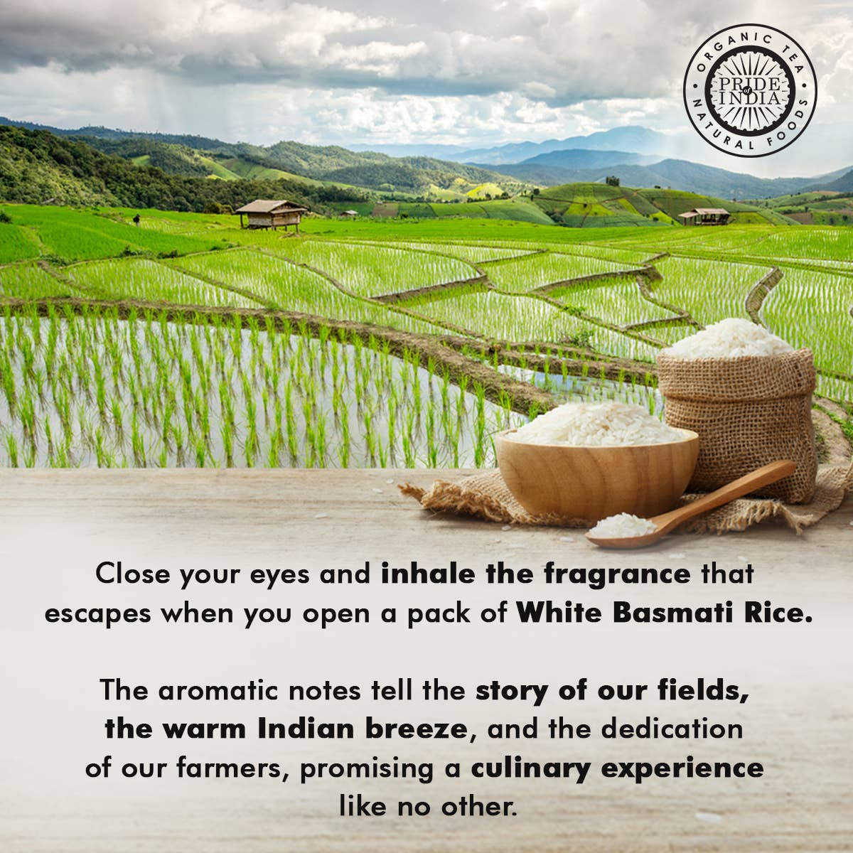 PRIDE INDIA BRANDS – wholesale Rice – Extra Long Indian White Basmati Rice7