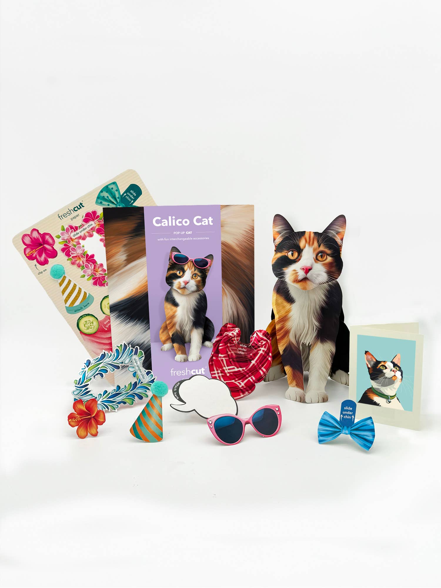 FreshCut Paper LLC – wholesale Everyday greeting card – Calico Cat (6 Pop-up Greeting Cards)4