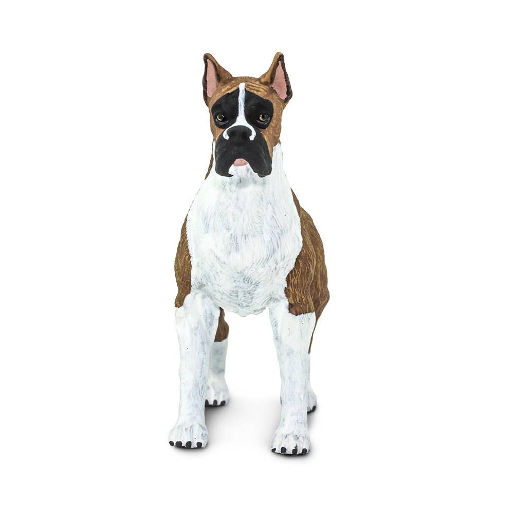 Safari Ltd. - Wholesale Figurine Toy - Kids - Boxer Figurine Toy for Kids3