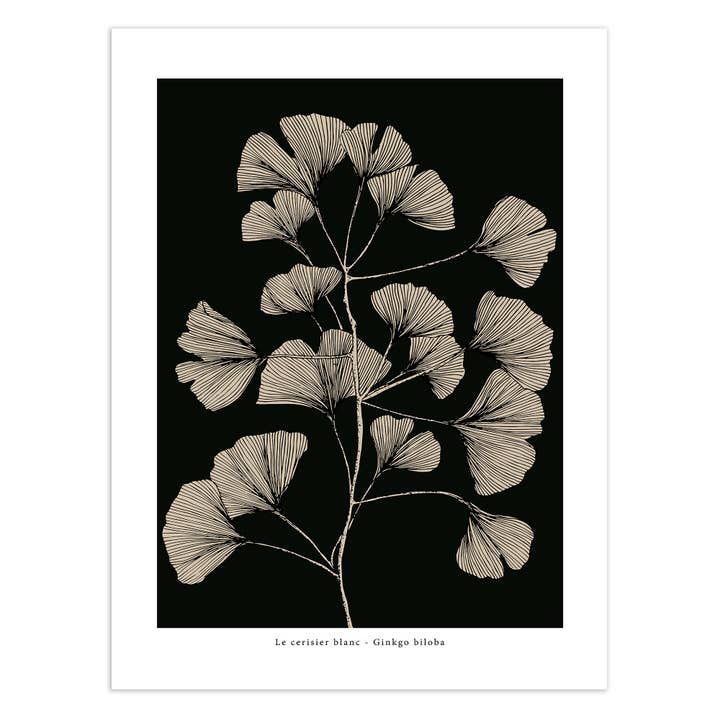 “Ginkgo biloba” poster for wholesale by Le cerisier blanc