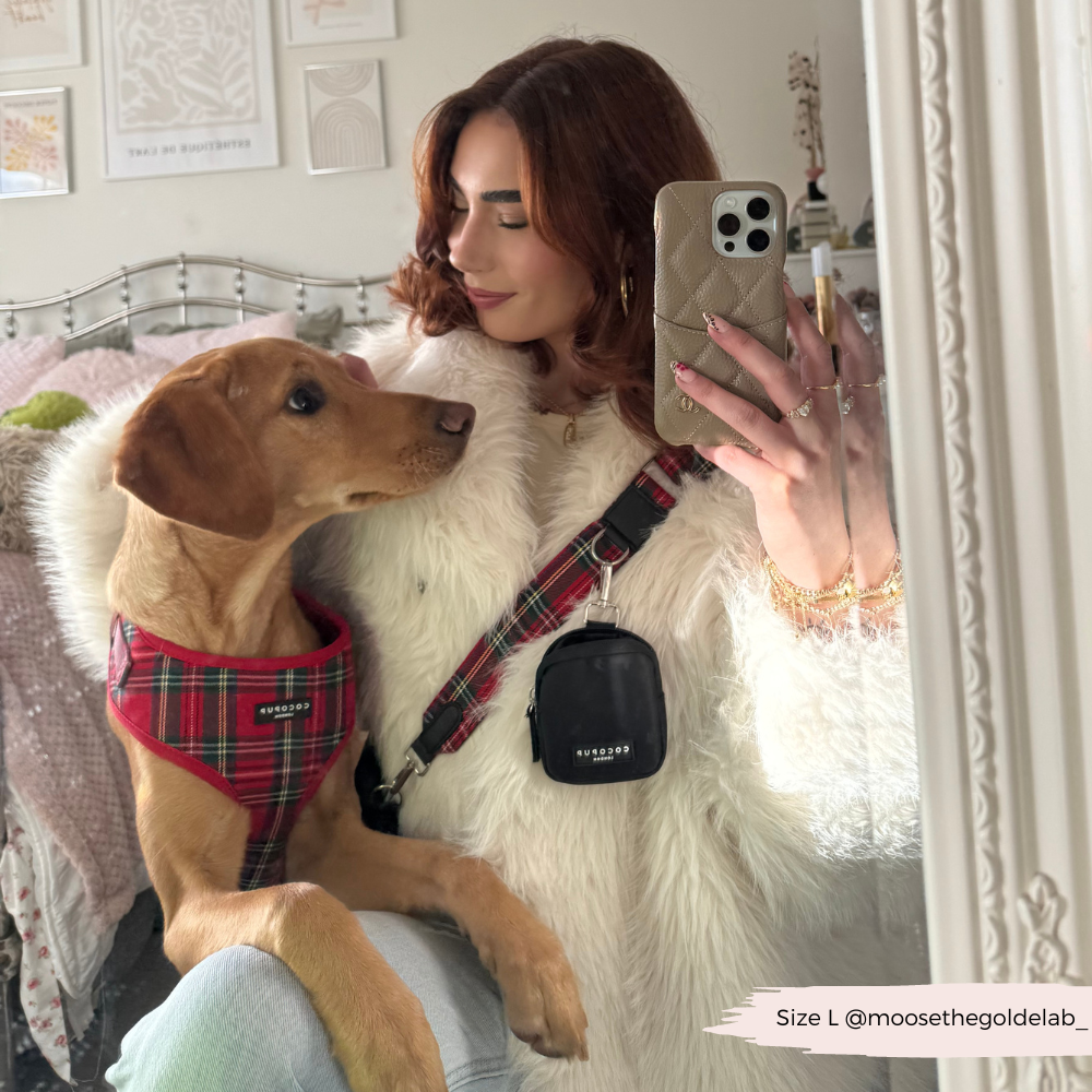 Cocopup London - Wholesale Tuig voor huisdieren - Hond - Tartan Verstelbaar NekHARNAS14