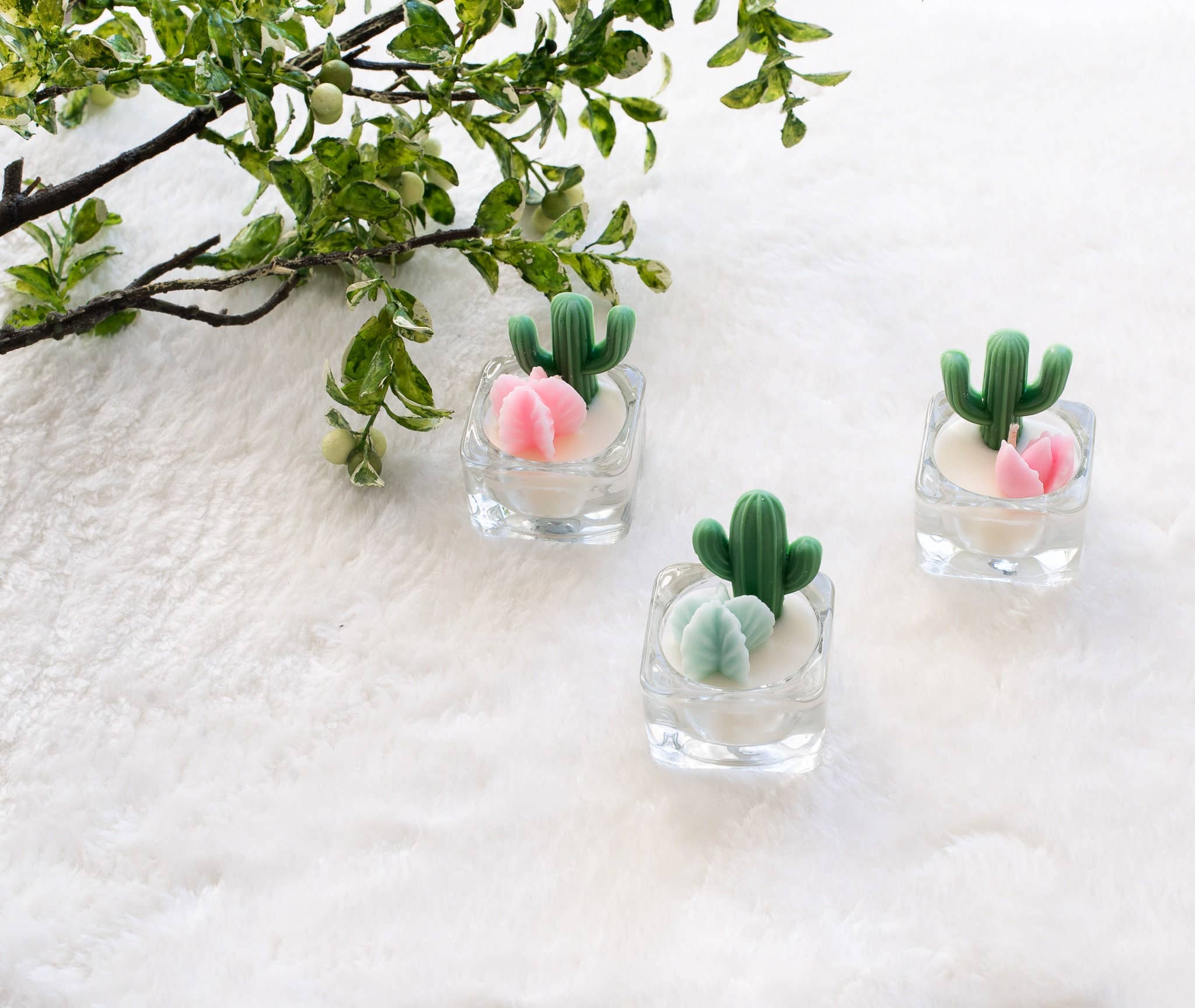ZOETSTUDIO - Wholesale Novelty Candle - Cactus & Succulent Tealight Candles | Soy Wax Blend2