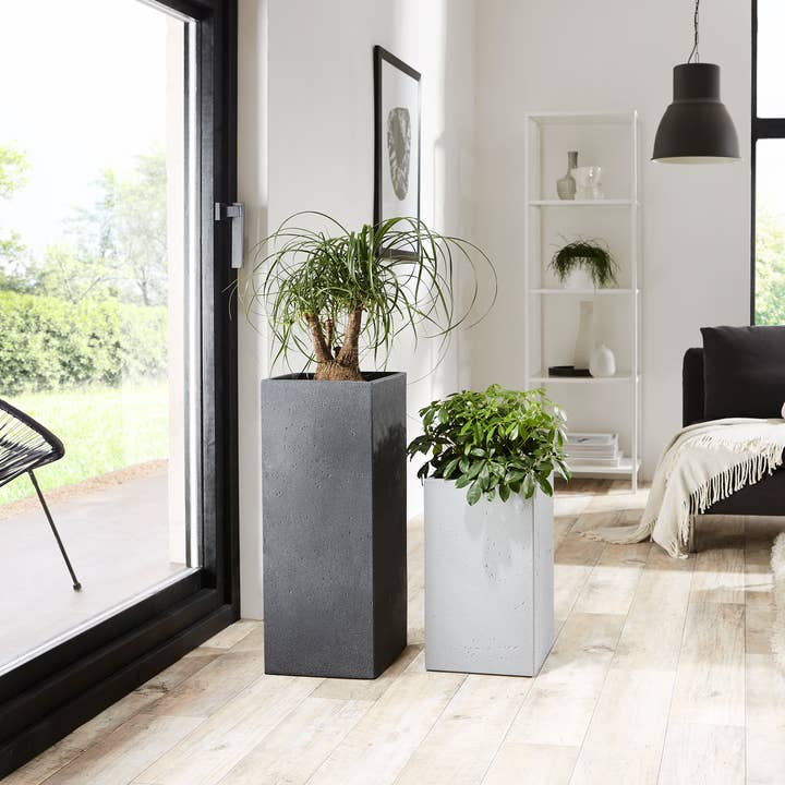 Scheurich - Wholesale Plant Pot - C-Cube High 240 plastic flower pot/planter2