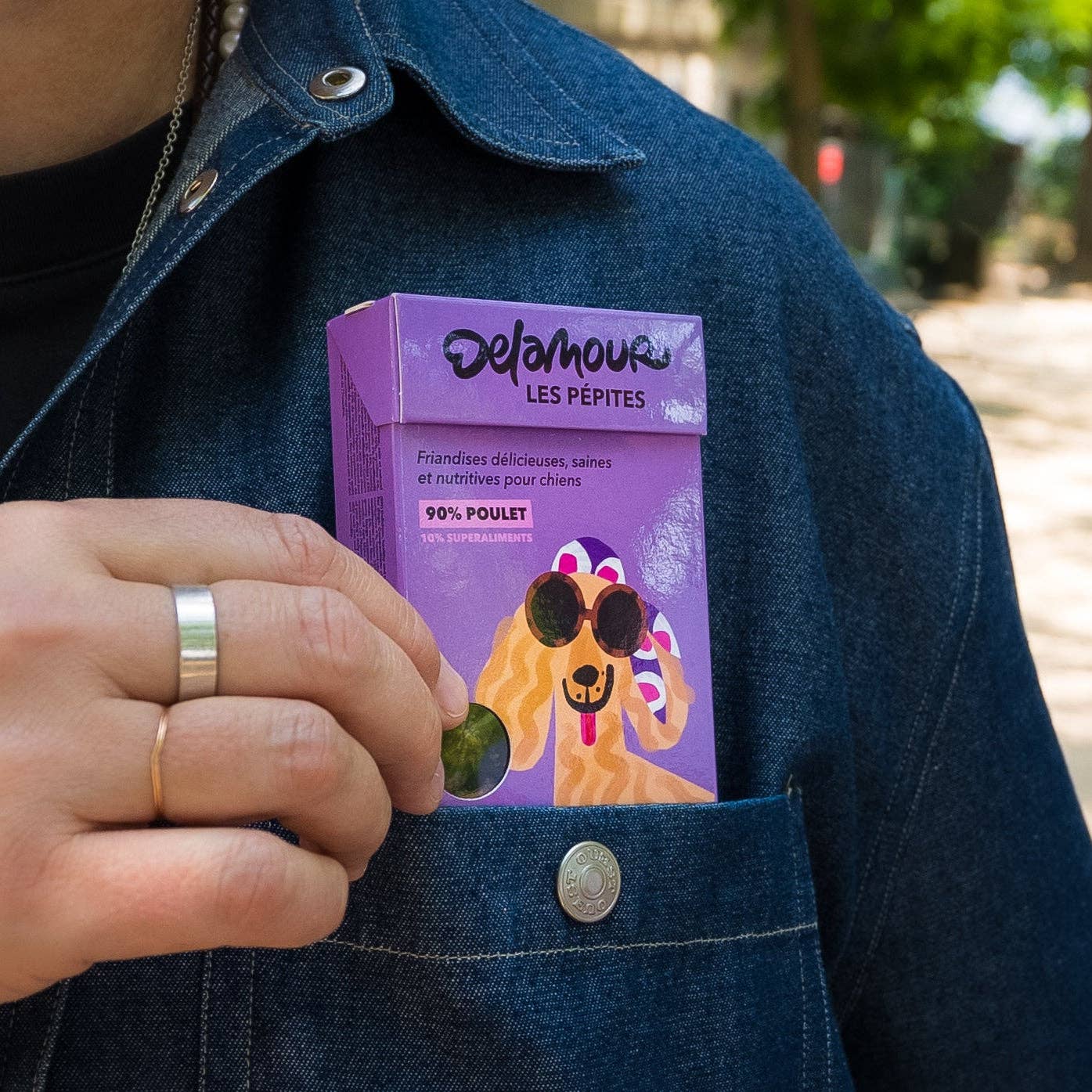 Delamour - Wholesale Pet Treats - Dog - Les Pépites - Air-dried chicken snacks (75g)4