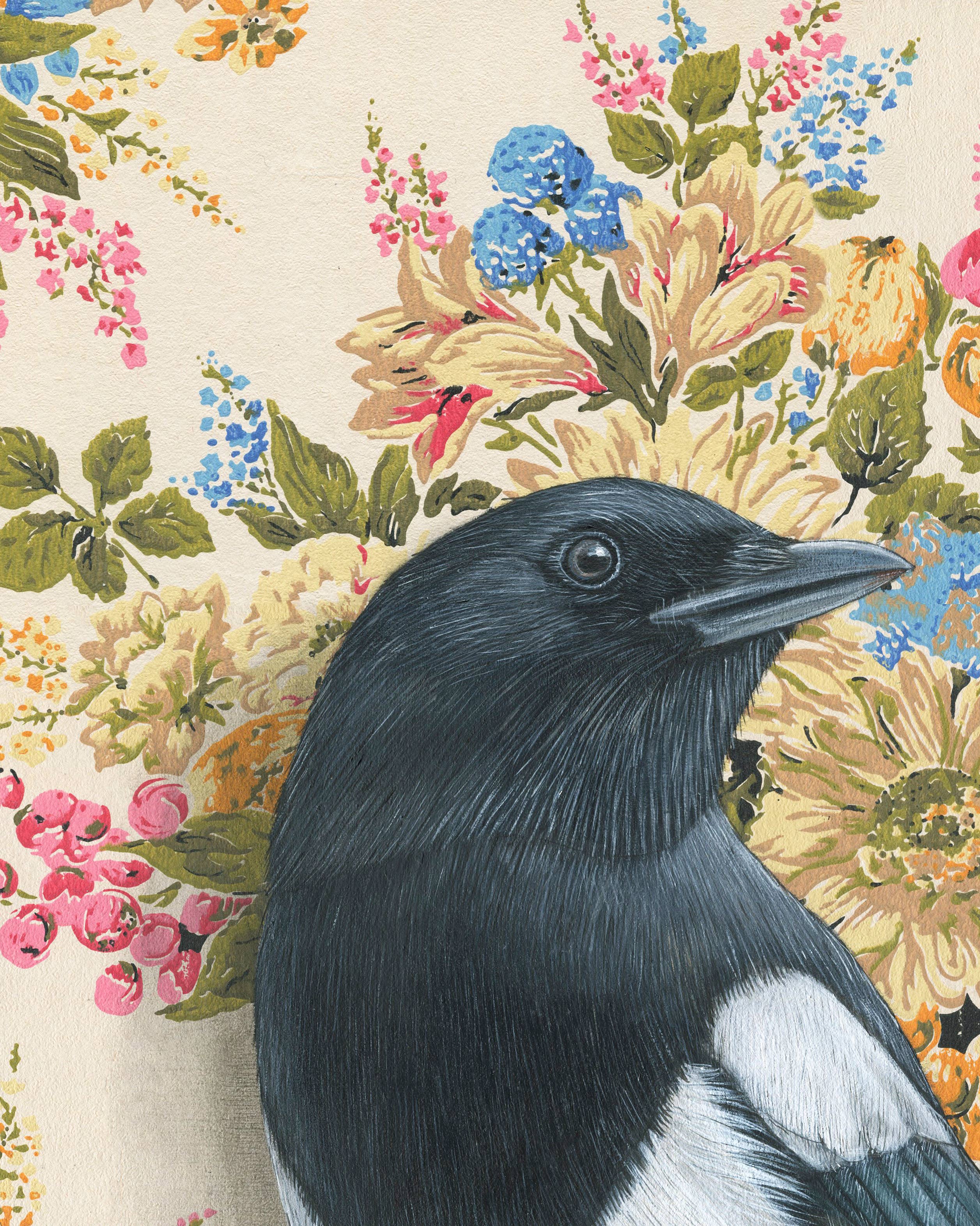 Emily Uchytil – Engroshandel Kunsttryk – Magpie - Kunsttryk - Fugleillustration2