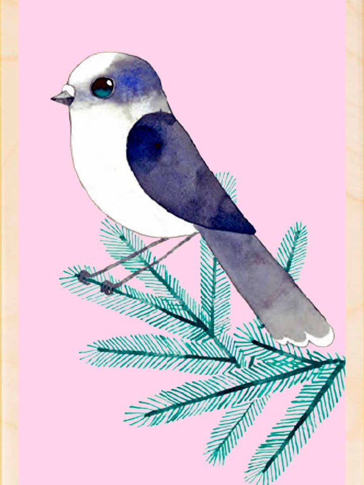 Canada Jay - Eco-friendly cards & magnets for wholesale by THE WOODEN POSTCARD COMPANY
