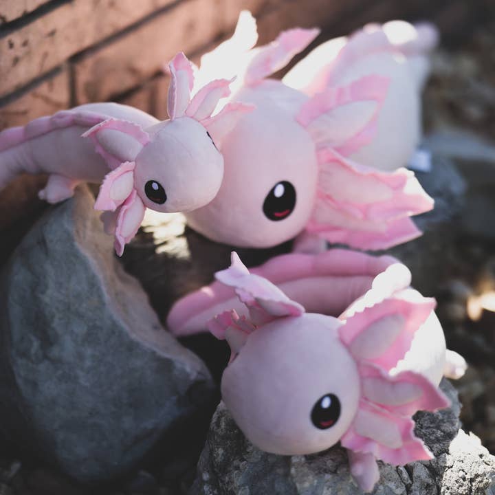 Axol & Friends - Wholesale Stuffed/Plush Toy - Kids & Baby - Mini Realistic Axolotl Plush8