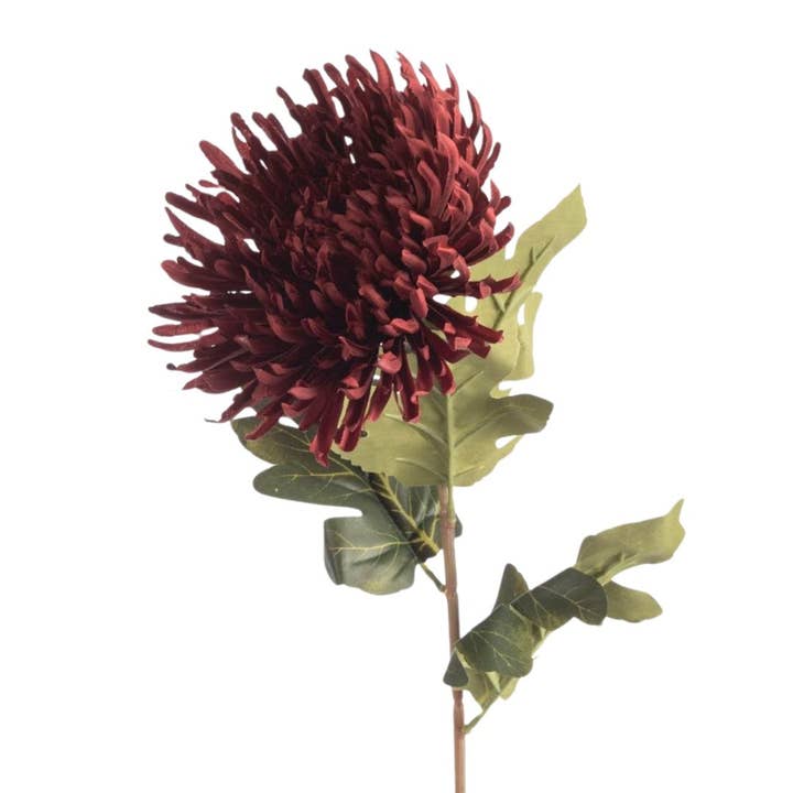 Wildflowers by Floriette - Wholesale Artificial Flowers - Chrysanthemum Spider Artificial L73cm Burgundy