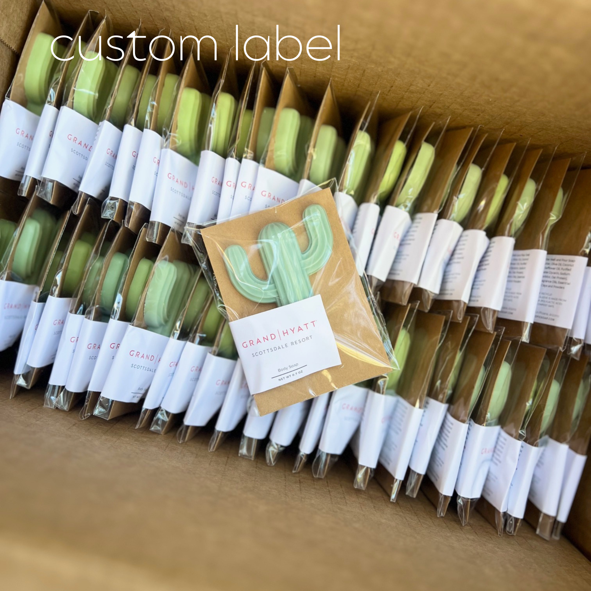 Naked Fig – sabonete sólido por atacado – Mini Sabonete para Cactus - Individual (individual)5