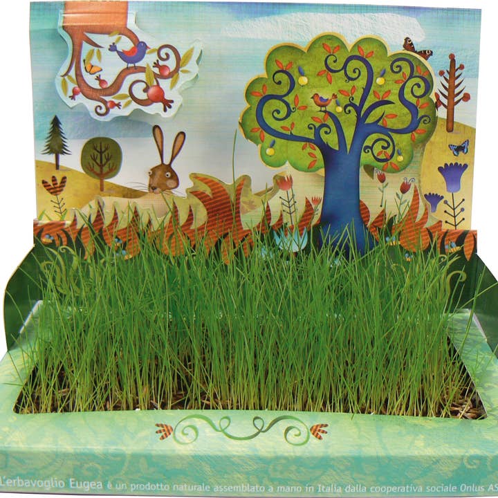 L'Erbavoglio - the table lawn for wholesale by EUGEA