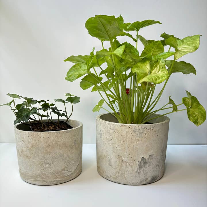 Fancy Concrete - Wholesale Plant Pot - Hera Pot 5.7” | Planter Pot | Indoor/Outdoor Planter