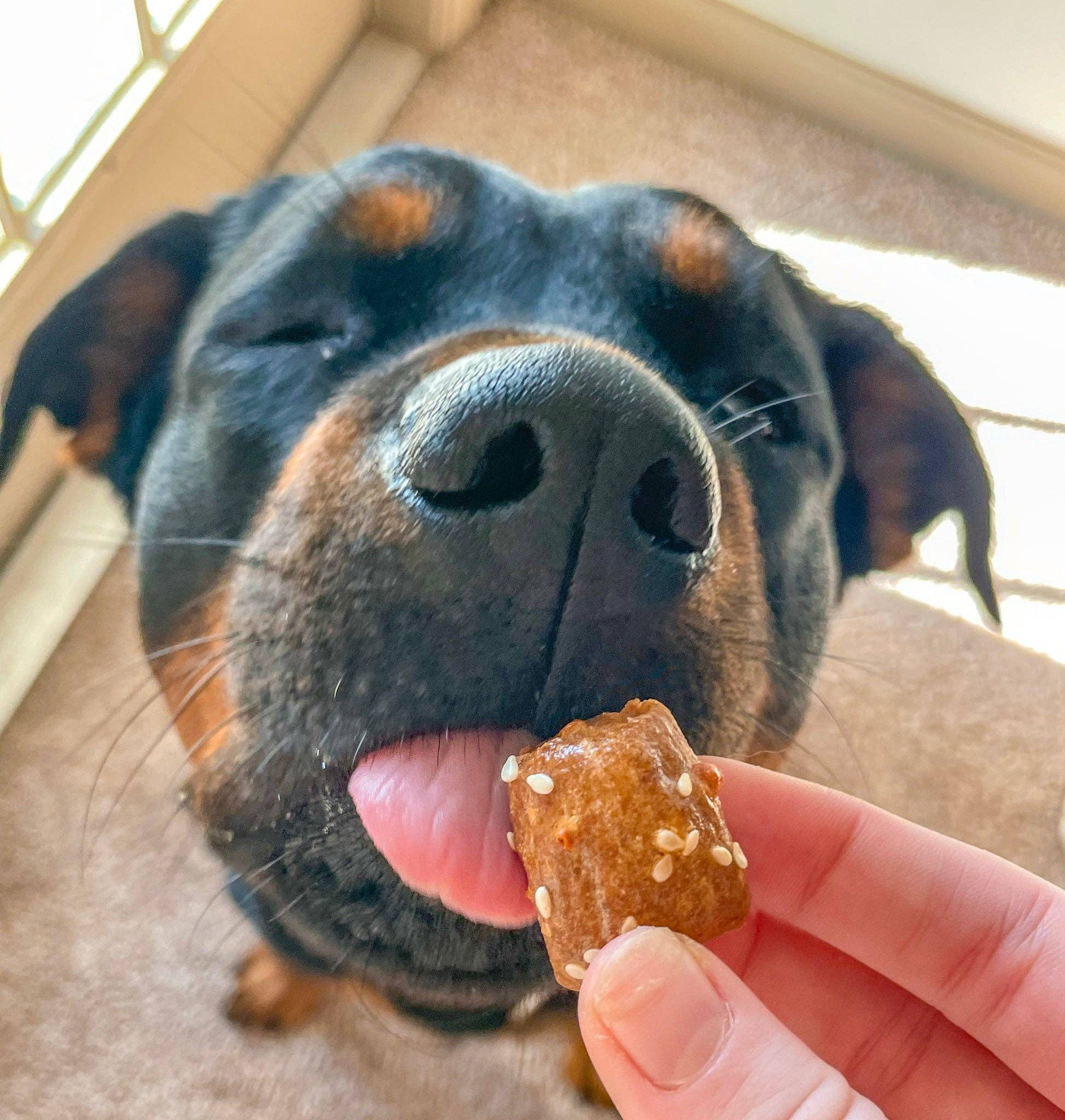 Big Head Barkery - Wholesale Pet Treats - Dog - Parmesan Cheddar Pretzel Bite Dog Treats | Natural4