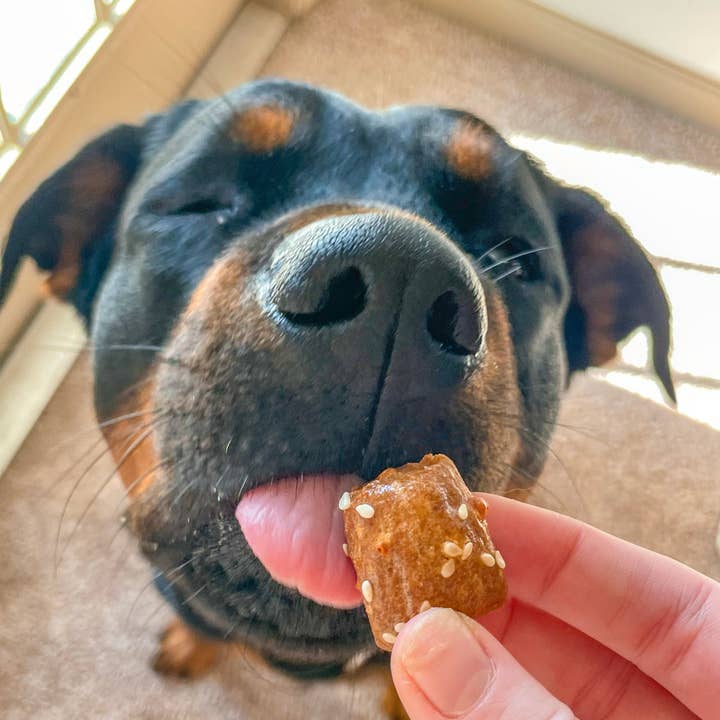Big Head Barkery - Wholesale Pet Treats - Dog - Parmesan Cheddar Pretzel Bite Dog Treats | Natural4