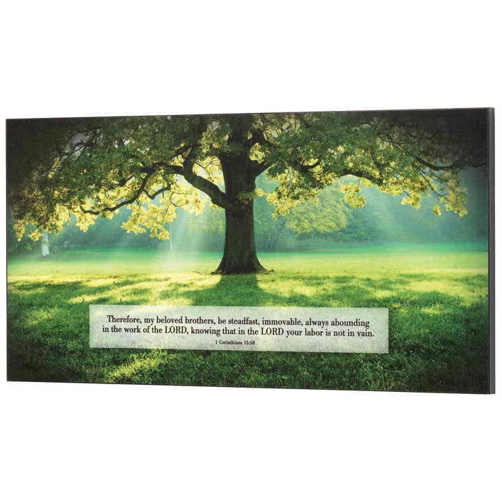Wall Plaque Be Steadfast And Immovable for wholesale by Cottage Garden