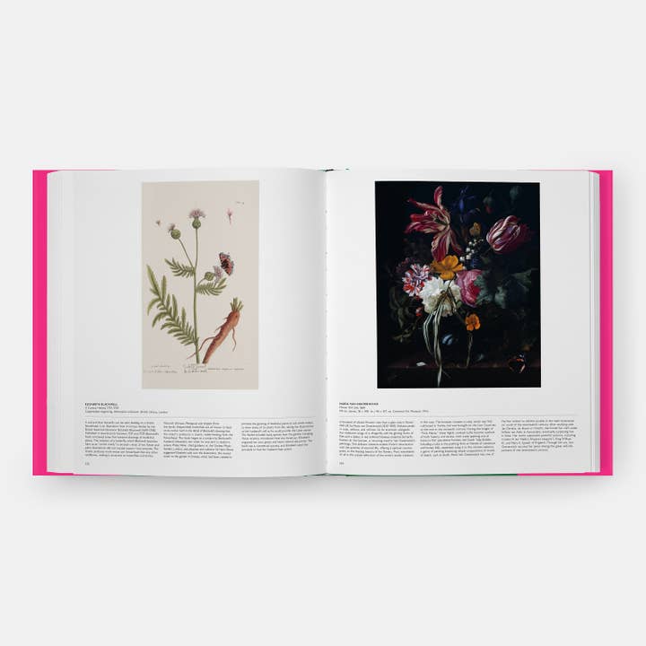 Phaidon - Wholesale Nature & Outdoors - Butterfly: Exploring the World of Lepidoptera10