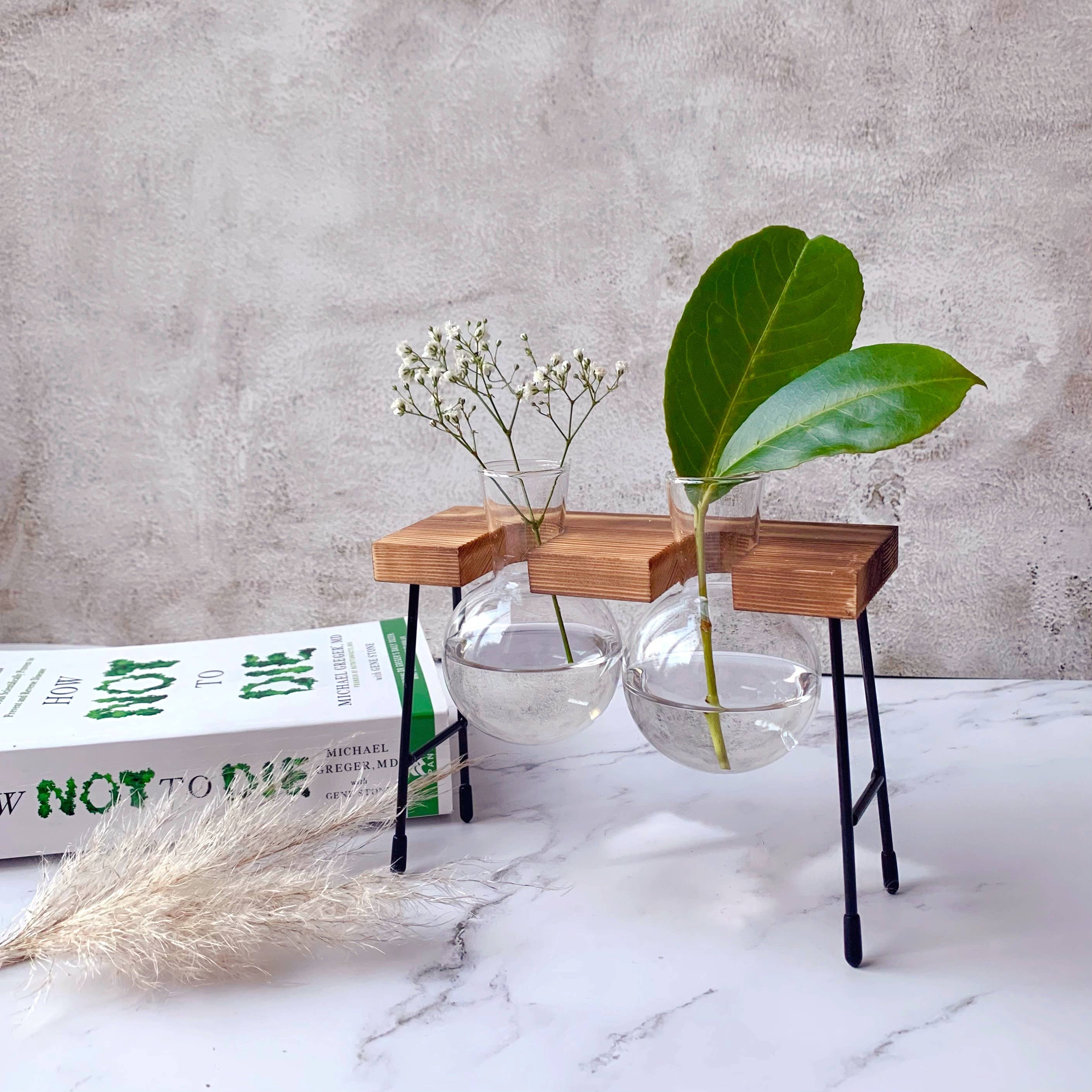 IVORE.GROUP (We cover All Import duty) – wholesale Vas – Glasvas med trästativ för hydroponisk odling3