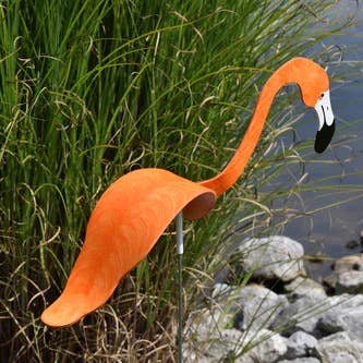 Orange Flamingo for wholesale by Florida Dancing Birds