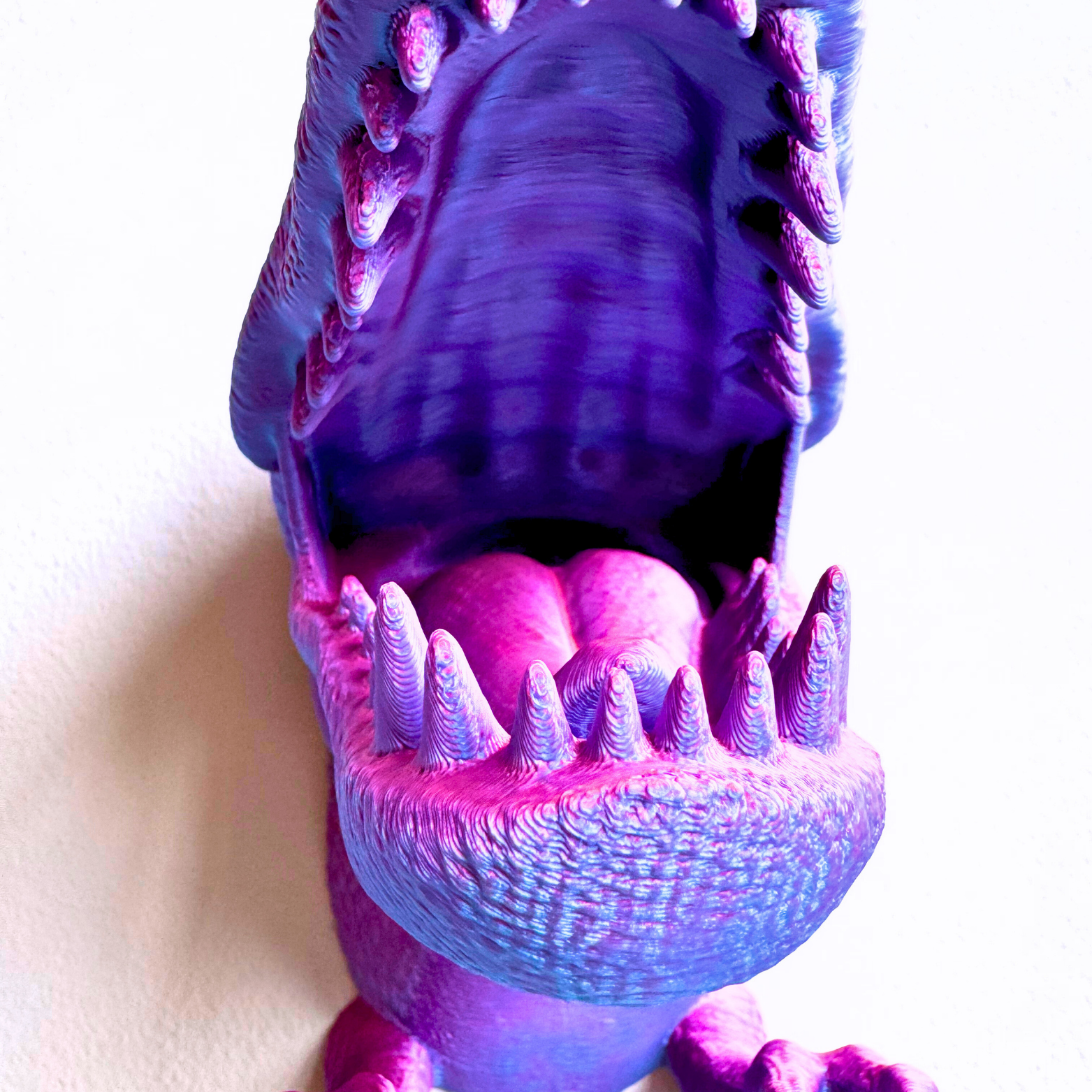Dragon Fidgets – Großhandel Wanddeko - Kind & Baby – T-Rex Zubehörhalter zur Wandmontage18