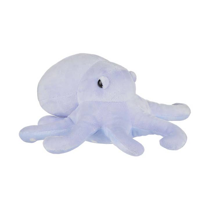 Polpo bioluminescente per la vendita all'ingrosso da parte di Aliquantum International Inc.