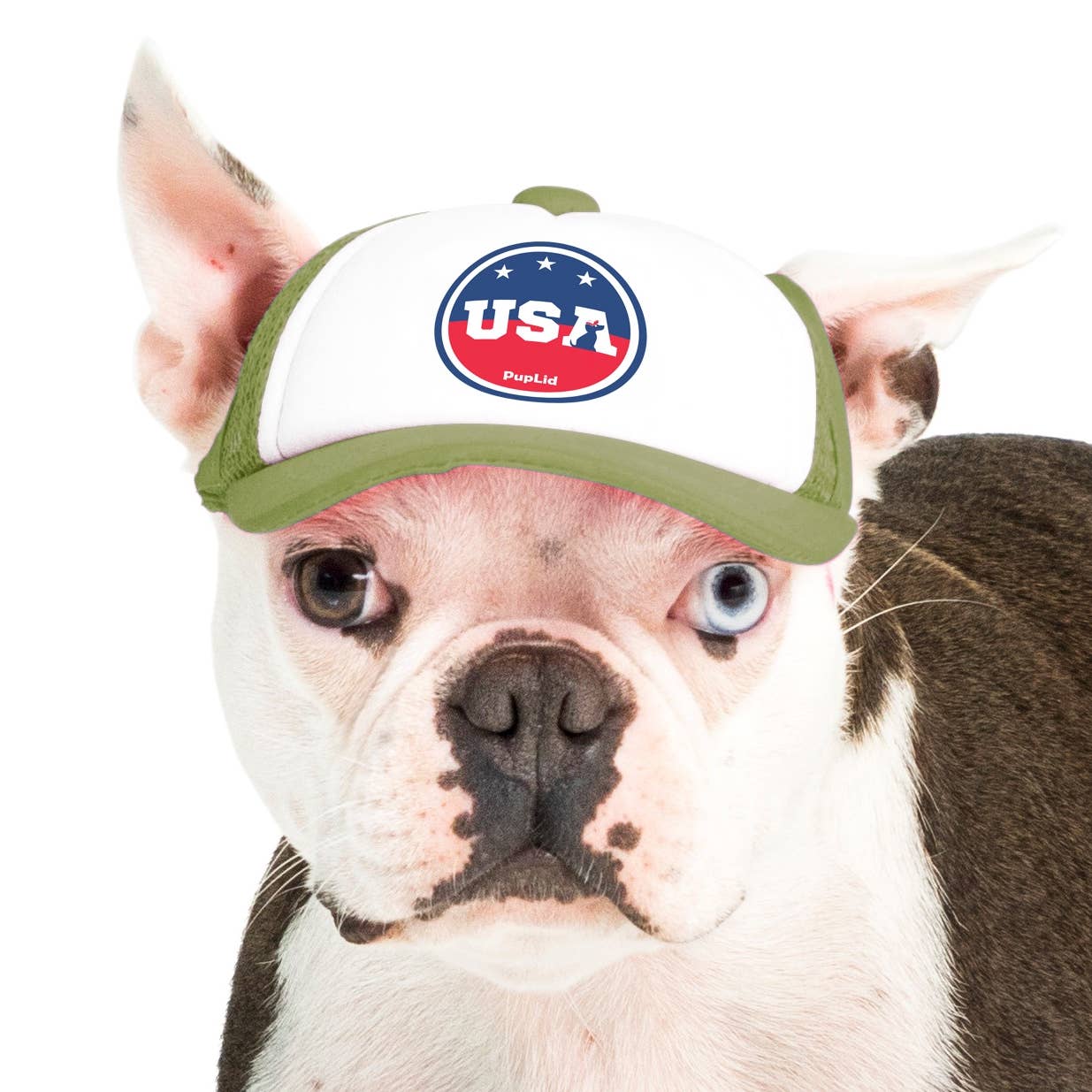 PupLid – wholesale Hatt - Hund – USA Stars Design l Truckerhatt för hundar16