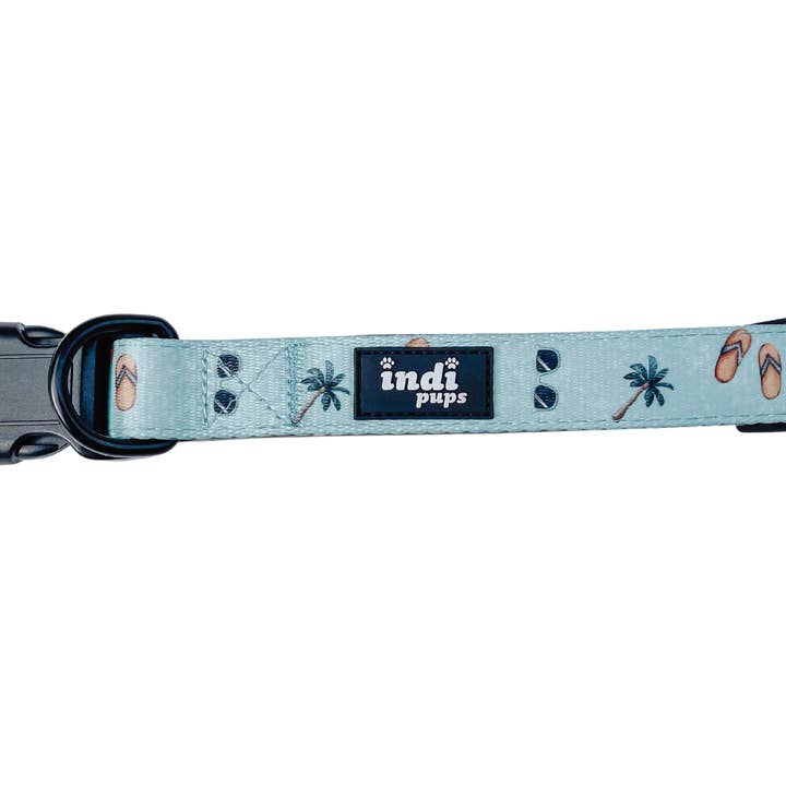 Tropic Like it’s Hot Collar for wholesale by Indi Pups