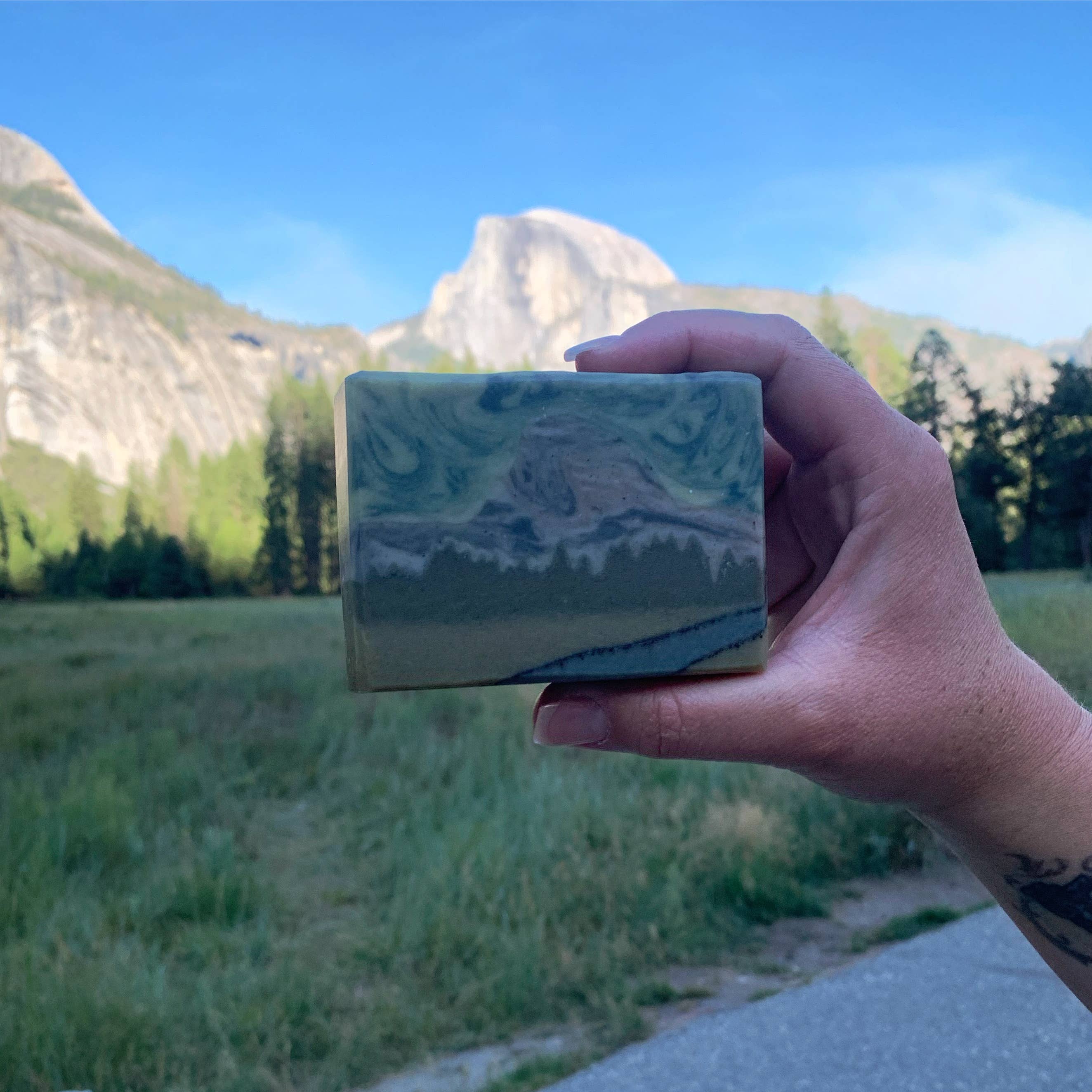 Delta Tule - Wholesale Bar Soap - Half Dome Soap // Pine Fir Needle Clove2