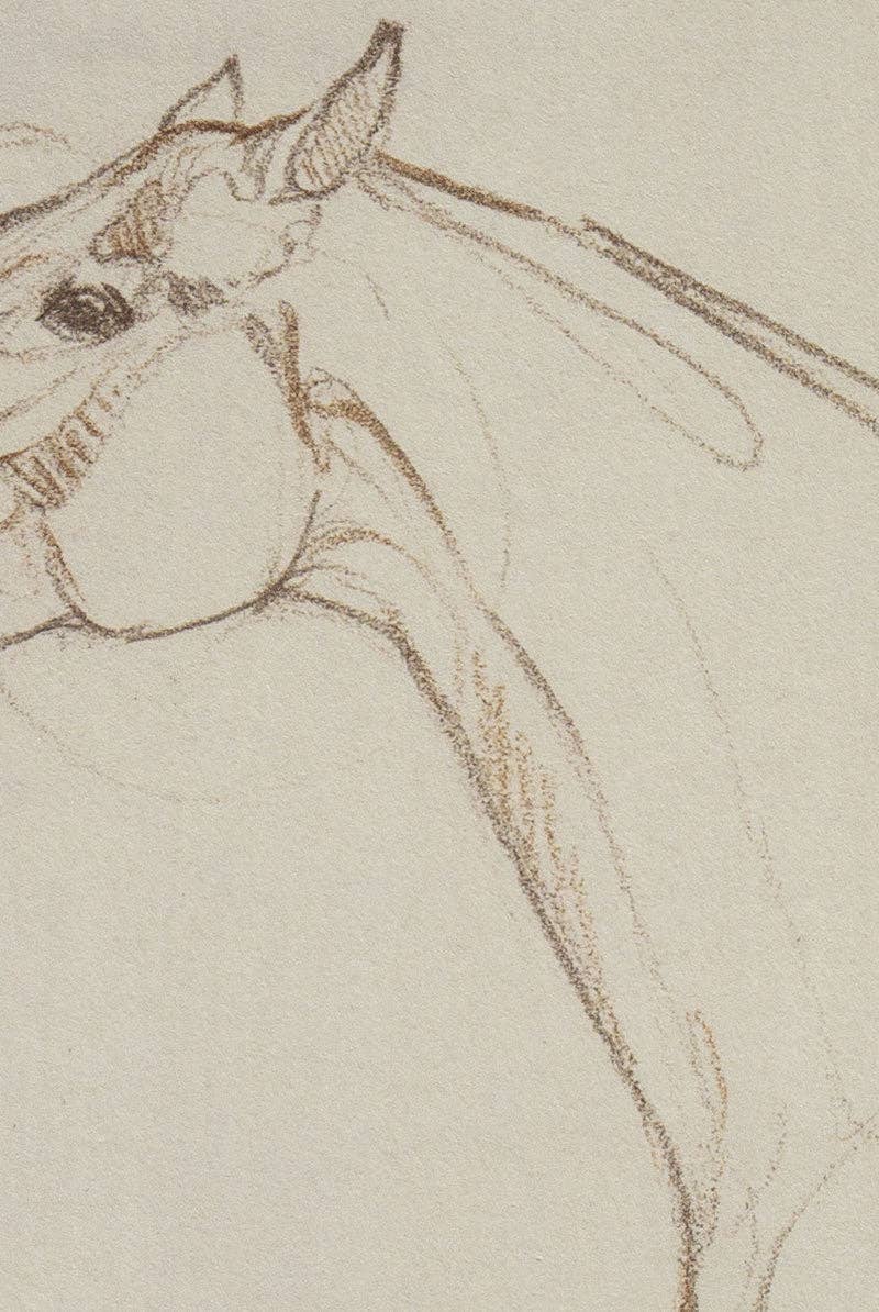 Danielle Demers Studio - Wholesale Art Print - Horse Drawing, "Lines – No. 17," Giclée Print on Paper2