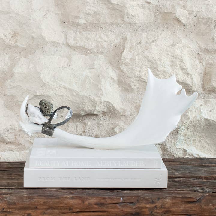 Versierd gewei (breed) voor wholesale door Jamie Dietrich Designs