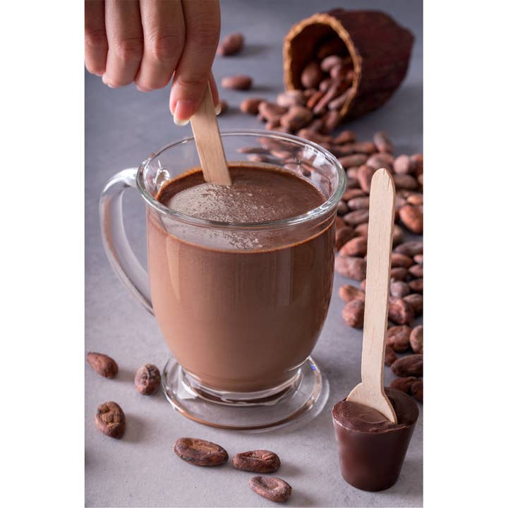 Exquisito Chocolates - Wholesale Hot Cocoa Spoon - Haute Chocolate Spoons1