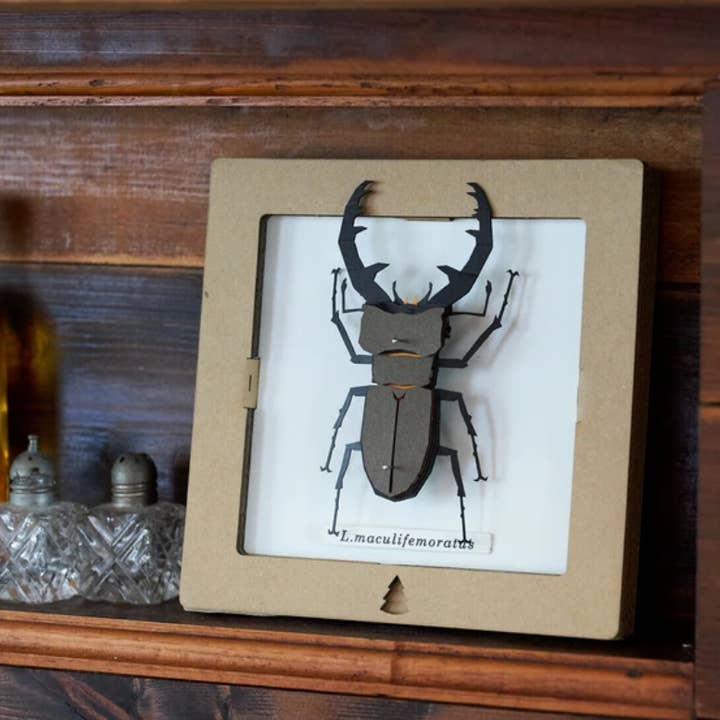 「FUNJI」In Japan - Wholesale DIY Craft Kit - 3D Stag Beetle Paper Craft Kit – Miyama Kuwagata | Japanese 4
