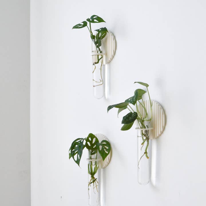 LindaMakess – Vasos suspensos por atacado – Vaso de Propagação de Plantas de Parede