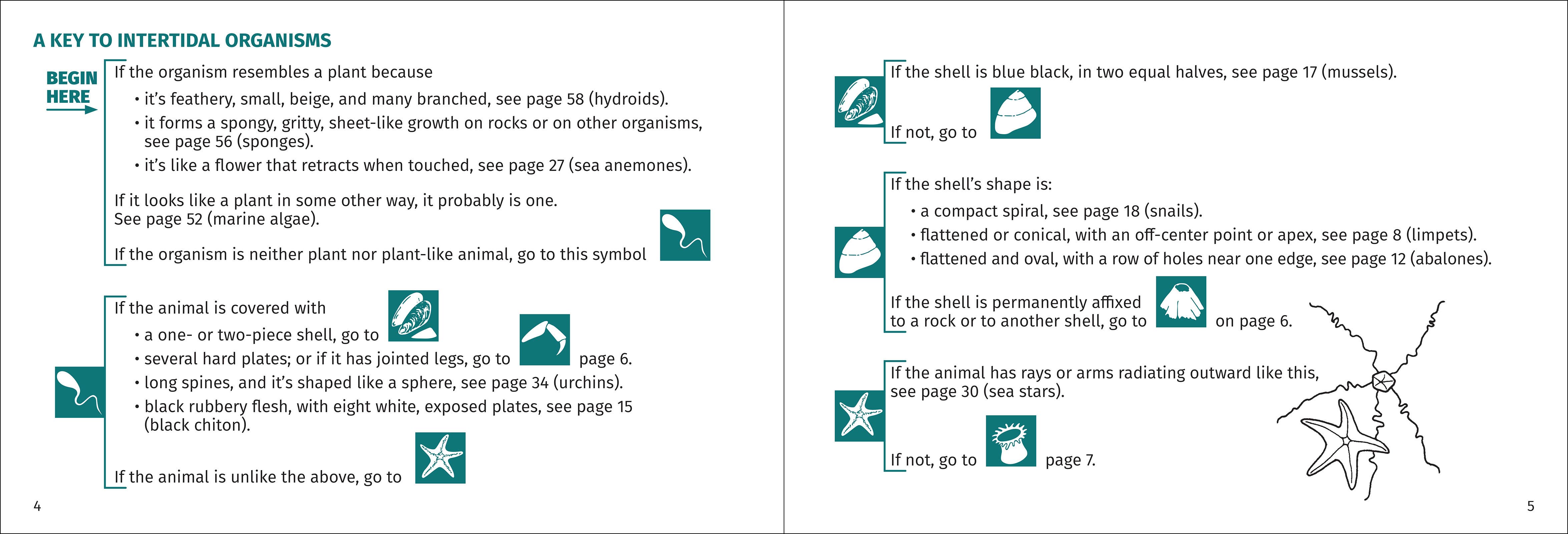 AdventureKEEN - Wholesale Nature & Outdoors Book - Pacific Intertidal Life 2nd Edition3