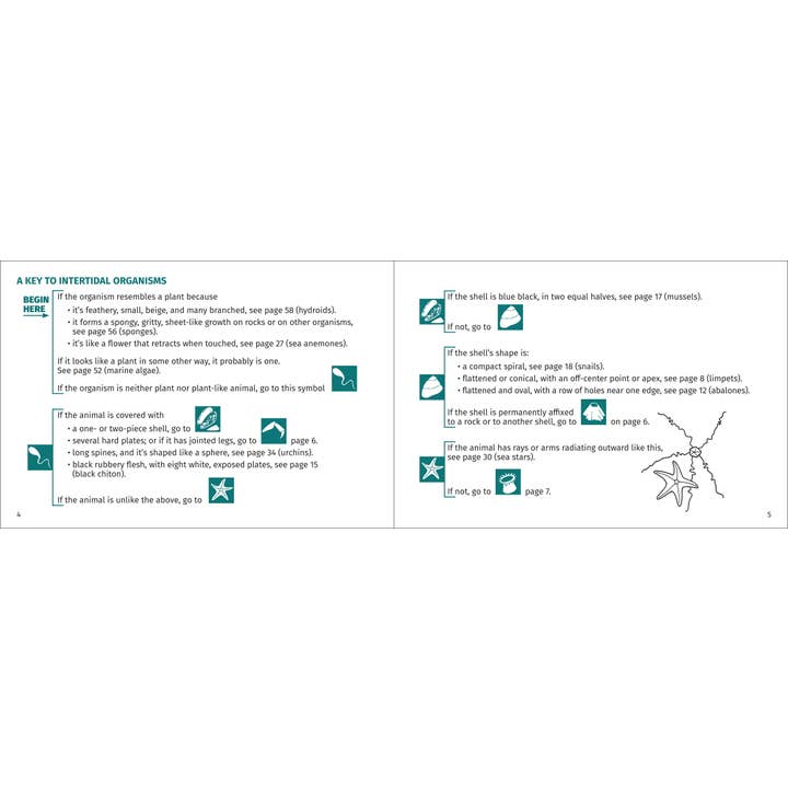 AdventureKEEN - Wholesale Nature & Outdoors - Pacific Intertidal Life 2nd Edition3