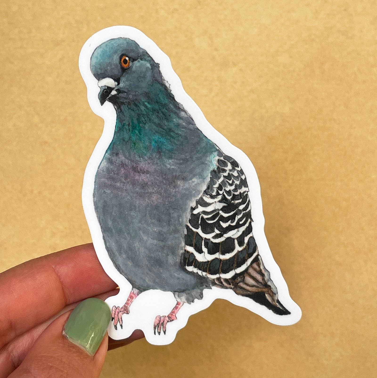 Amy Rose Moore Illustration – Großhandel Aufkleber – Vinyl-AUFKLEBER „Taube“1